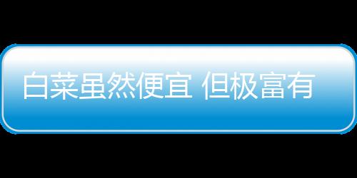 白菜虽然便宜 但极富有营养！