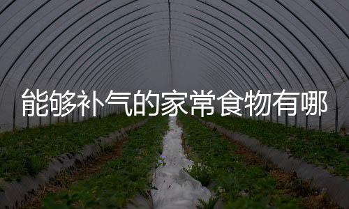 能够补气的家常食物有哪些